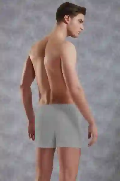 Resim Doreanse 1511p Erkek Penye Boxer