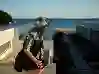 Resim Alfasa 26713 Kadın Kısa Kollu Yarı Kapalı Mayo