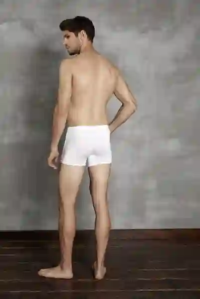 Resim Doreanse 1500 Erkek Organik Boxer