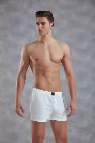 Resim Doreanse 1511 Erkek Penye Boxer