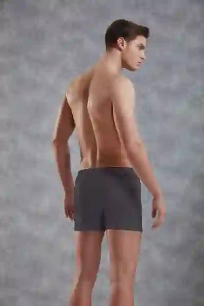 Resim Doreanse 1511 Erkek Penye Boxer