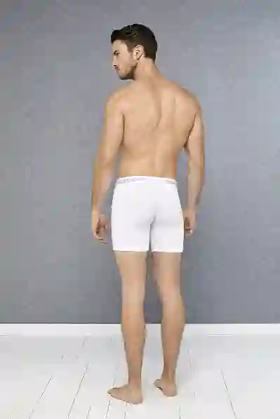 Resim Doreanse 1780 Erkek Boxer